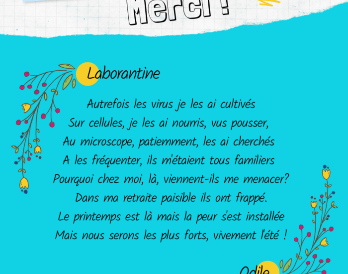 Agrandir l'image, .PNG 304,1 KB (fenêtre modale)