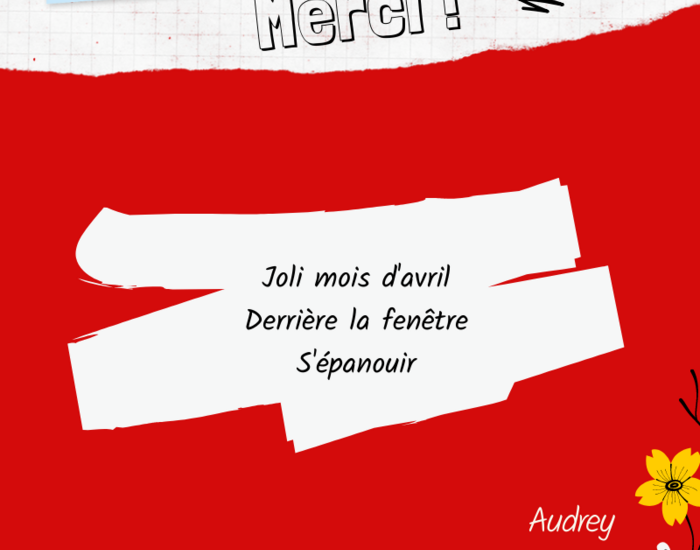Agrandir l'image, .PNG 212,6 KB (fenêtre modale)