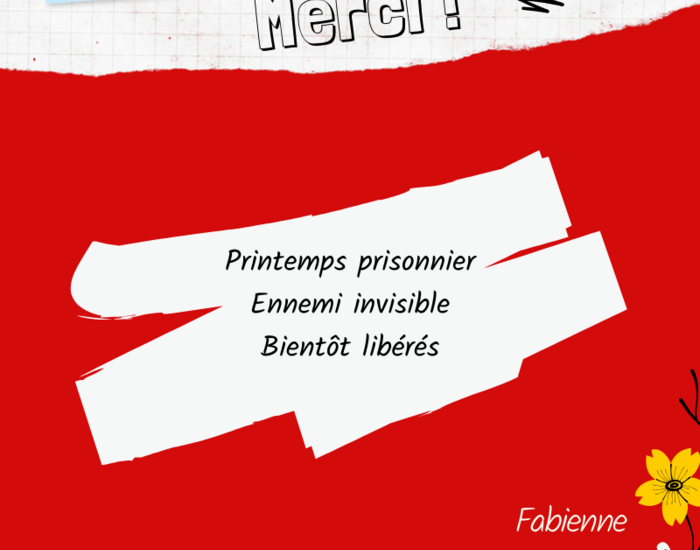 Agrandir l'image, .PNG 219,6 KB (fenêtre modale)