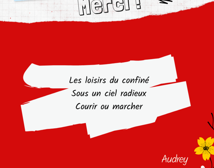 Agrandir l'image, .PNG 216,6 KB (fenêtre modale)