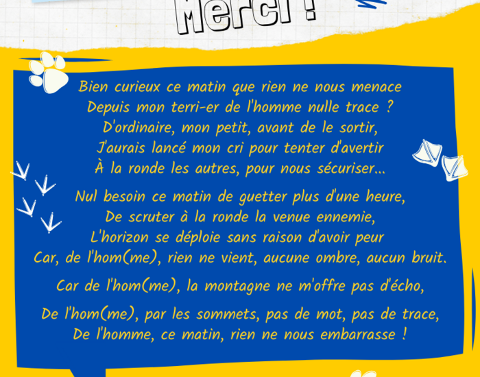 Agrandir l'image, .PNG 333,4 KB (fenêtre modale)