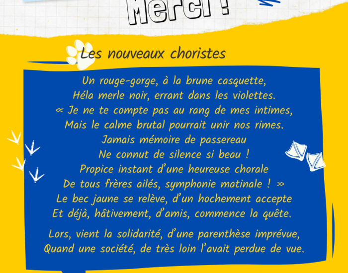 Agrandir l'image, .PNG 332,6 KB (fenêtre modale)