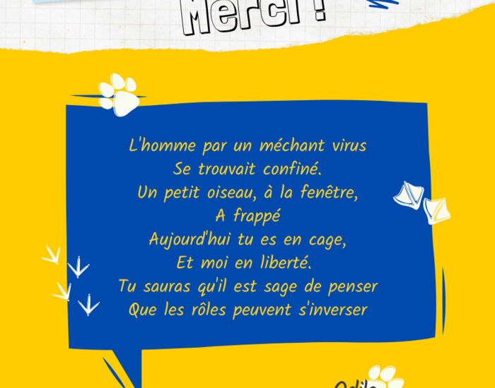 Agrandir l'image, .PNG 256,9 KB (fenêtre modale)
